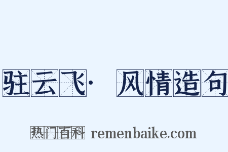 驻云飞·风情造句是什么意思的图片